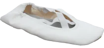 White gymnastic shoes